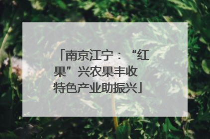 南京江宁：“红果”兴农果丰收 特色产业助振兴
