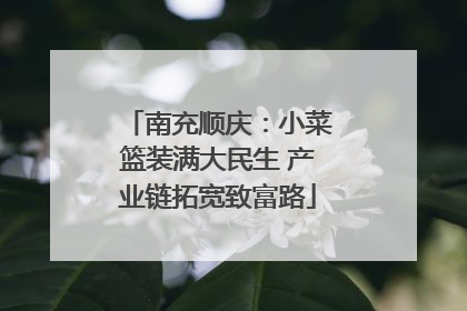 南充顺庆：小菜篮装满大民生 产业链拓宽致富路