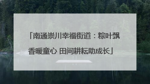 南通崇川幸福街道：粽叶飘香暖童心 田间耕耘助成长