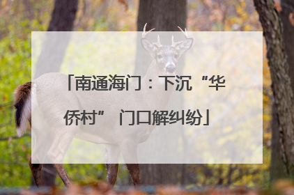 南通海门：下沉“华侨村” 门口解纠纷