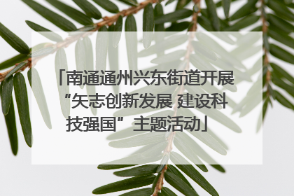 南通通州兴东街道开展“矢志创新发展 建设科技强国”主题活动