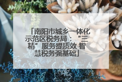 南阳市城乡一体化示范区税务局：“三精”服务提质效 智慧税务强基础
