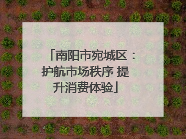 南阳市宛城区：护航市场秩序 提升消费体验