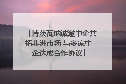 博茨瓦纳诚邀中企共拓非洲市场 与多家中企达成合作协议
