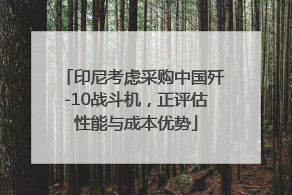 印尼考虑采购中国歼-10战斗机，正评估性能与成本优势