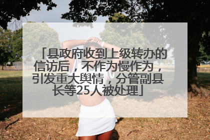 县政府收到上级转办的信访后，不作为慢作为，引发重大舆情，分管副县长等25人被处理