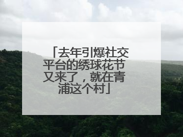 去年引爆社交平台的绣球花节又来了，就在青浦这个村
