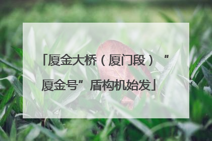 厦金大桥（厦门段）“厦金号”盾构机始发