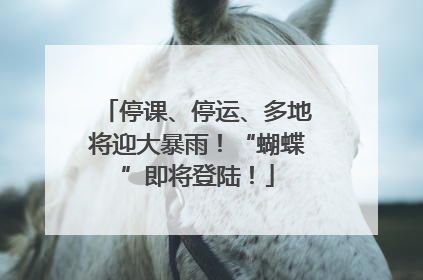 停课、停运、多地将迎大暴雨！“蝴蝶”即将登陆！