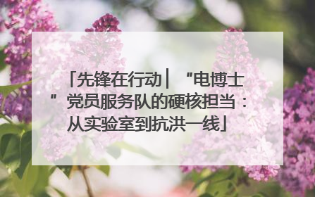 先锋在行动 ▏“电博士”党员服务队的硬核担当：从实验室到抗洪一线