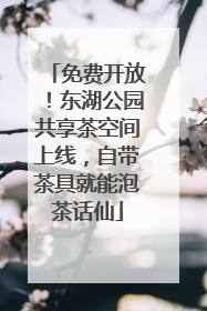 免费开放！东湖公园共享茶空间上线，自带茶具就能泡茶话仙