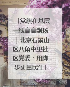 党旗在基层一线高高飘扬｜北京石景山区八角中里社区党委：用脚步丈量民生