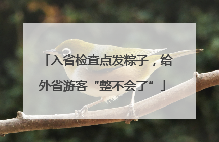 入省检查点发粽子，给外省游客“整不会了”