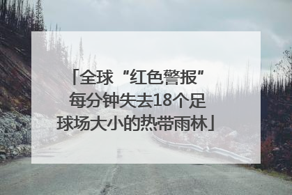全球“红色警报”  每分钟失去18个足球场大小的热带雨林