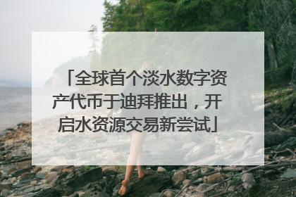 全球首个淡水数字资产代币于迪拜推出，开启水资源交易新尝试