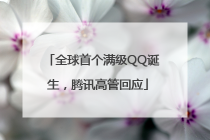全球首个满级QQ诞生，腾讯高管回应