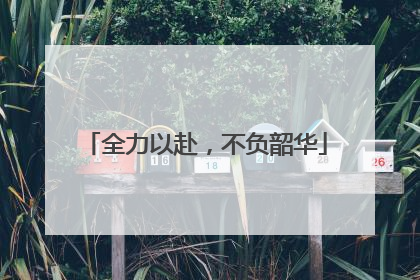 全力以赴，不负韶华