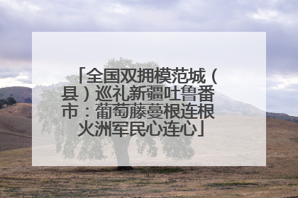 全国双拥模范城（县）巡礼新疆吐鲁番市：葡萄藤蔓根连根 火洲军民心连心