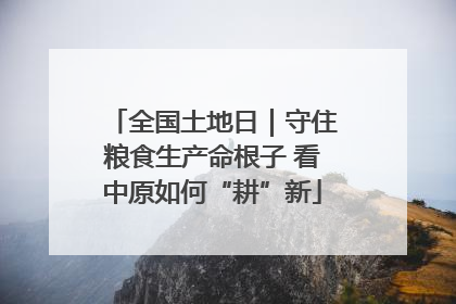 全国土地日｜守住粮食生产命根子 看中原如何“耕”新