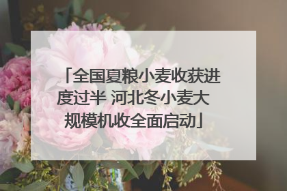 全国夏粮小麦收获进度过半 河北冬小麦大规模机收全面启动