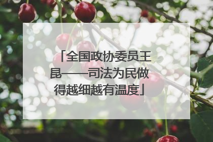 全国政协委员王昆——司法为民做得越细越有温度