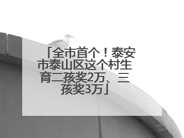 全市首个！泰安市泰山区这个村生育二孩奖2万、三孩奖3万