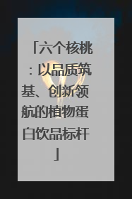 六个核桃：以品质筑基、创新领航的植物蛋白饮品标杆