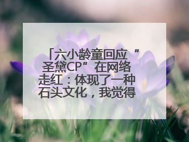 六小龄童回应“圣黛CP”在网络走红：体现了一种石头文化，我觉得挺有意思