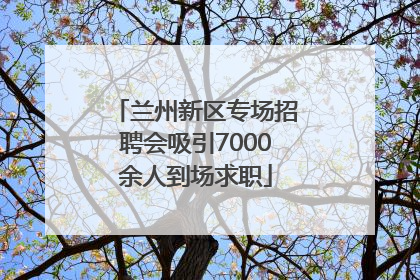 兰州新区专场招聘会吸引7000余人到场求职