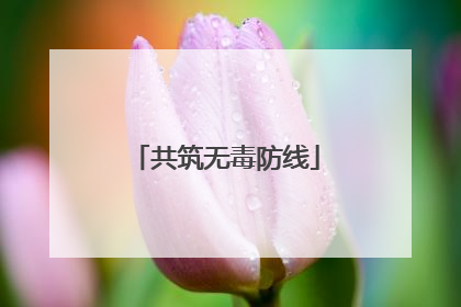 共筑无毒防线