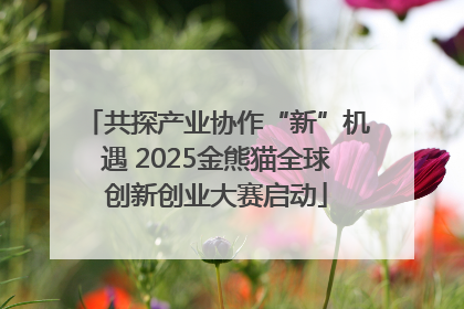 共探产业协作“新”机遇 2025金熊猫全球创新创业大赛启动