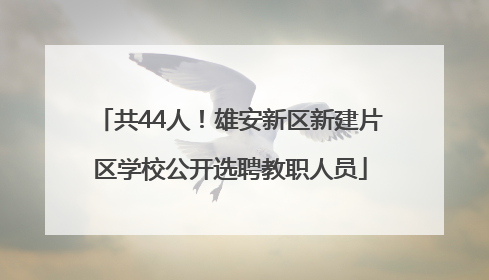 共44人！雄安新区新建片区学校公开选聘教职人员