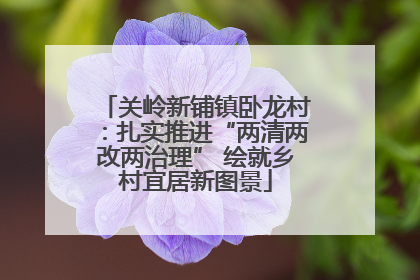 关岭新铺镇卧龙村：扎实推进“两清两改两治理” 绘就乡村宜居新图景