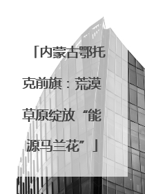 内蒙古鄂托克前旗：荒漠草原绽放“能源马兰花”