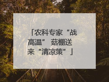 农科专家“战高温” 菇棚送来“清凉策”