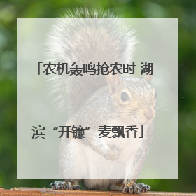 农机轰鸣抢农时 湖滨“开镰”麦飘香