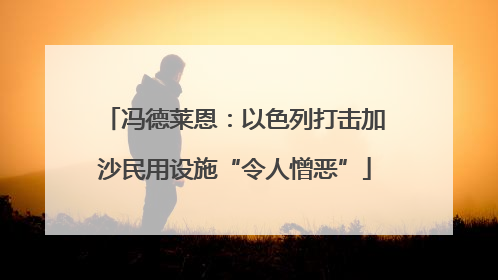 冯德莱恩：以色列打击加沙民用设施“令人憎恶”