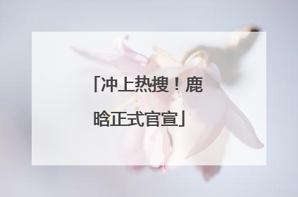 冲上热搜！鹿晗正式官宣