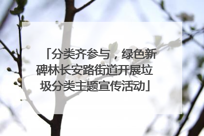 分类齐参与，绿色新碑林长安路街道开展垃圾分类主题宣传活动