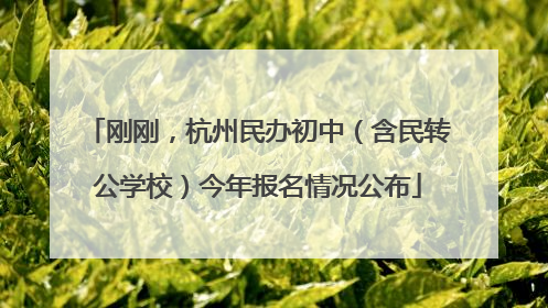 刚刚，杭州民办初中（含民转公学校）今年报名情况公布