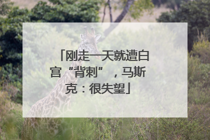 刚走一天就遭白宫“背刺”，马斯克：很失望