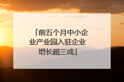 前五个月中小企业产业园入驻企业增长超三成
