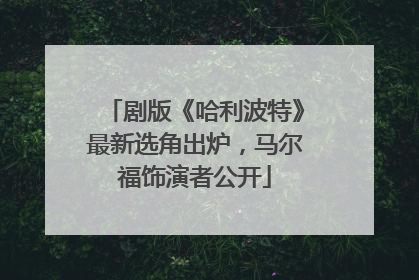 剧版《哈利波特》最新选角出炉，马尔福饰演者公开