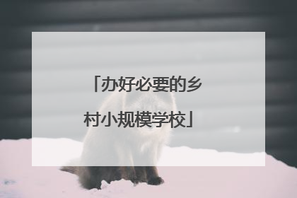 办好必要的乡村小规模学校