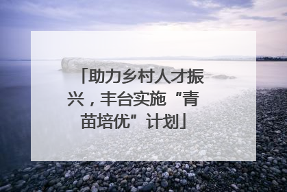 助力乡村人才振兴，丰台实施“青苗培优”计划