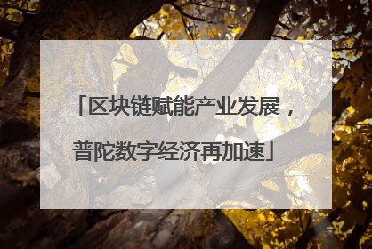 区块链赋能产业发展，普陀数字经济再加速