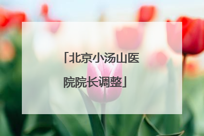 北京小汤山医院院长调整