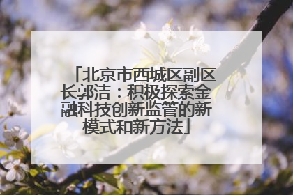 北京市西城区副区长郭洁：积极探索金融科技创新监管的新模式和新方法