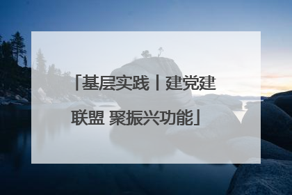 基层实践丨建党建联盟 聚振兴功能