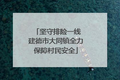 坚守排险一线 建德市大同镇全力保障村民安全
